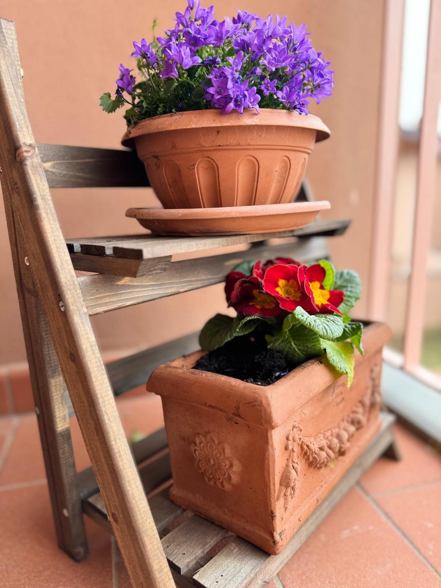 Apartment Chianti House Garden - 30 Min Firenze Centro Pelago